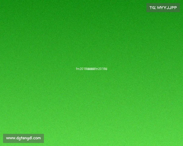 fm2018赛事汉化、fm2018吧