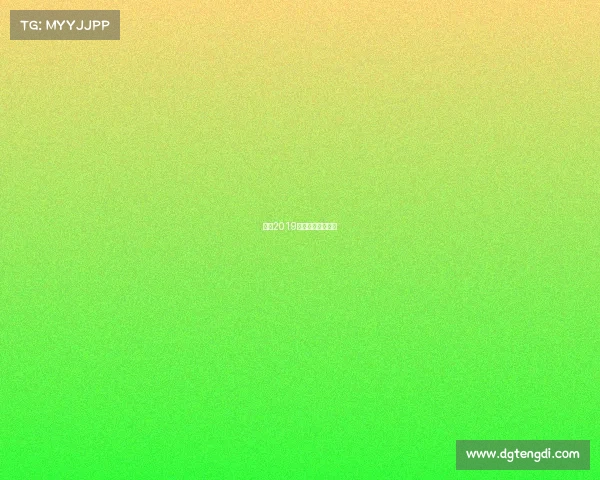 国安2019主场赛事荣耀征程